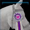 HorseDecorations RibbonType6 01