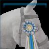 Regal Horse Ribbon