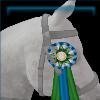 Blue And Green Ribbon