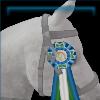 Exclusive Jorvegian Horse Ribbon
