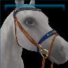 Lakeside Daydream bridle