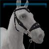 Silver Baroque Medieval Bridle