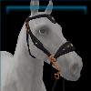 Gold Baroque Medieval Bridle