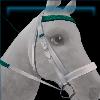 Bulldogz Bridle