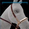 Trail Ride Bridle