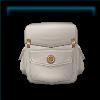 Trail Ride Saddlebag