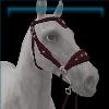 Burgundy Baroque Bridle