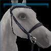 GH_BridleEnglish_30_Name
