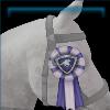 Silver Ribbon