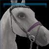 Lavender Eventing Bridle