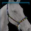 Rainbow Riot bridle