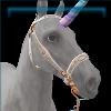 Misty Rainbow bridle
