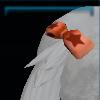 Tail ribbon