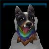 Pride Terrier