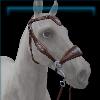 Hazelnut Silver Heart Bridle