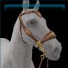 Walnut Gold Heart Bridle