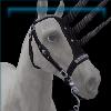 Twilight Silver Horned Bridle