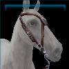 Hazelnut Silver Medallion Bridle