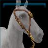 Walnut Gold Medallion Bridle