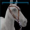Walnut Silver Medallion Bridle