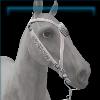 Porcelain Silver Medallion Bridle