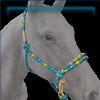 Sun and Sea bridle