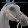 Flower Power bridle