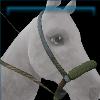 Montana Mountaineer bridle