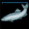 Medium Fish