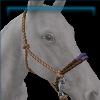 Breezy Celebration Rope Halter