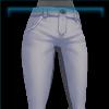 Anniversary Dressage Pants