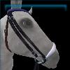 Anniversary Dressage Bridle