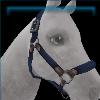 Imperial Splendor Halter