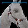 White Nylon Halter