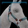 Teal Nylon Halter