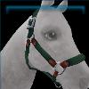 Green Nylon Halter