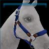 Royal Blue Nylon Halter