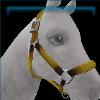 Yellow Nylon Halter