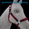 Red Nylon Halter