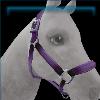 Lavender Nylon Halter
