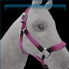 Pink Nylon Halter
