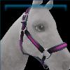 Loretta's Halter