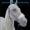 Phantom Fae bridle