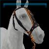 Fabulous Enchanter bridle