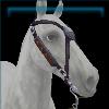 Daringly Casual bridle