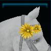 Mane flower for the horse