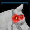 Mane flower for the horse