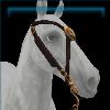 Headless Horseman's bridle