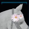 Mane bow for the horse