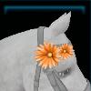 Mane flower for the horse